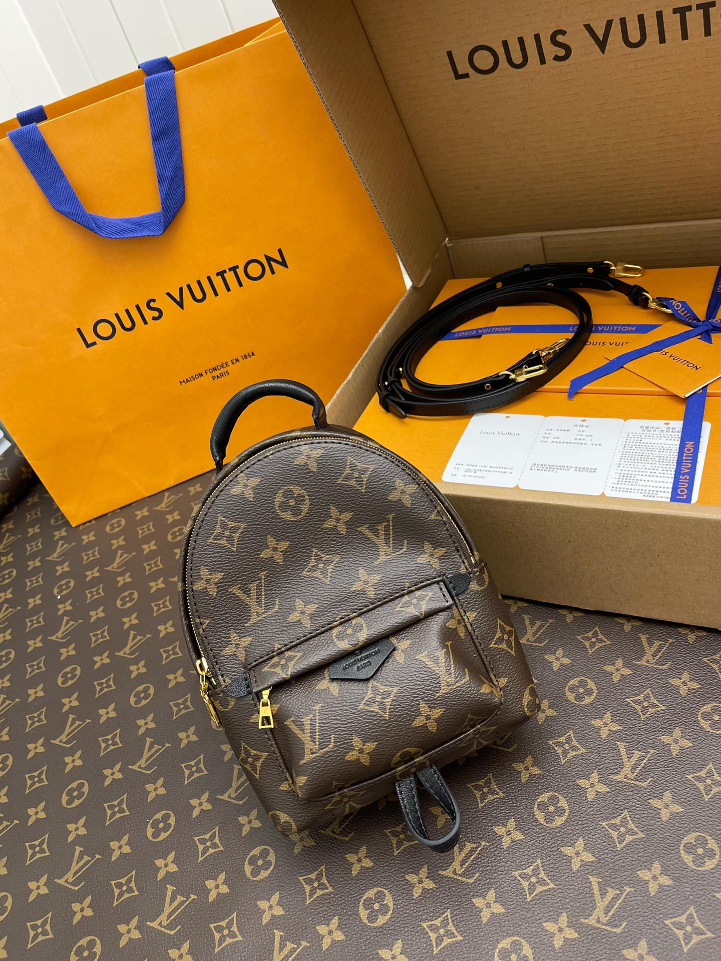 LV Backpacks